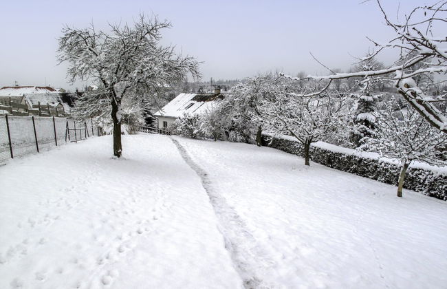 Červený Kostelec - Foto 39