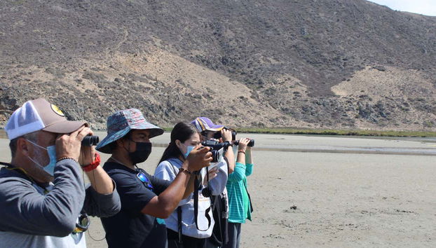 Observando aves en el humedal del río Limarí