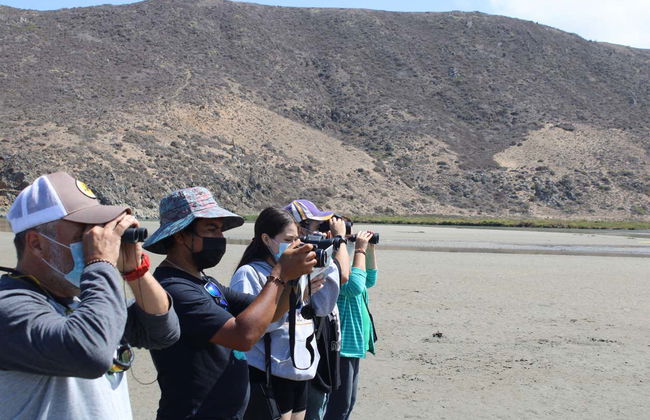 Birdwatching + Kayaking Tour - Photo 4