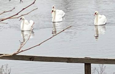 Thrassa Hotel - Foto 31