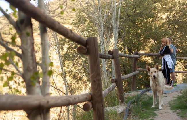 Mountain Getaway in Laroya - Photo 31