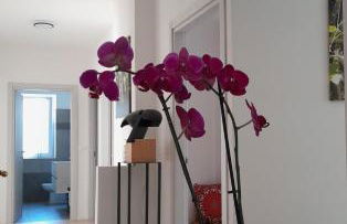 Appartment Lodged Mamma Maria - Foto 58