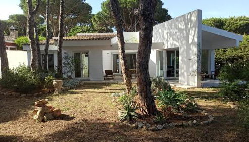 Diseño y luz entre los pinos - Foto 5