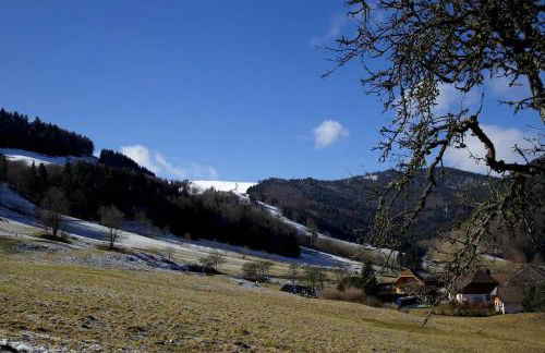 Historisches Schwarzwaldhaus - Foto 30