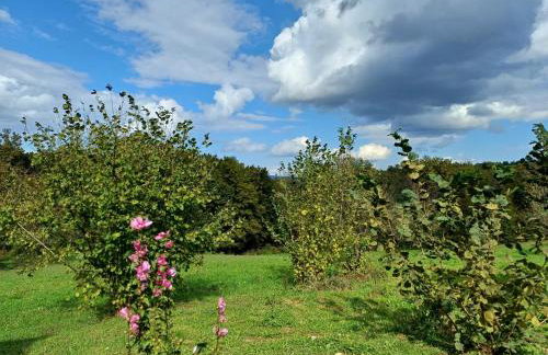 Holiday Home Anka - Foto 42