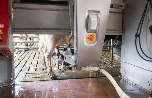 Ferienwohnung Sonnenaufgangsgenuss Harriersand - Foto 19