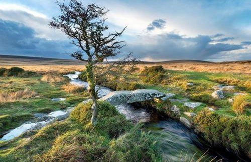 4 Bed in Gunnislake oc-77480 - Foto 29