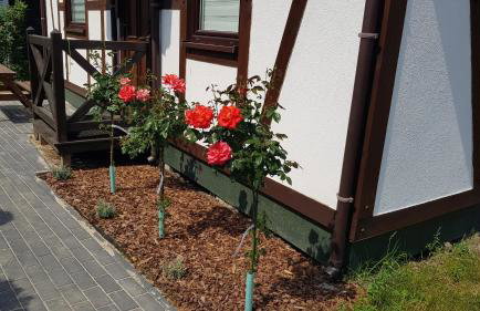 Pustkowo Domki Wakacyjne u Marka - Foto 4