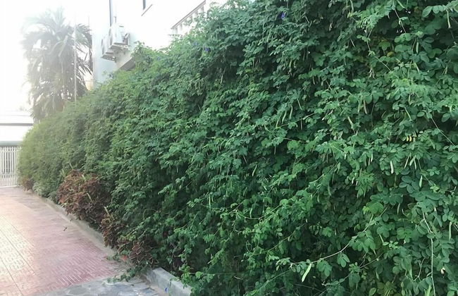 MN Apartment - Foto 38