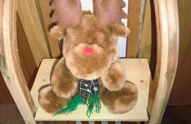 Appartementen Edel - Foto 12