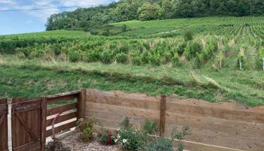 le gite des vignes Studio tout confort 1 chambre dans le vignoble Franche Comte Arbois - Foto 3, Garden view