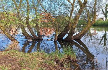 Bright & Cozy Medulin apartments - Foto 62