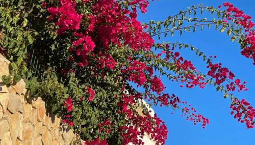 Hilltop Apartment Alvor - Foto 3, Garden view