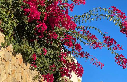 Hilltop Apartment Alvor - Foto 3