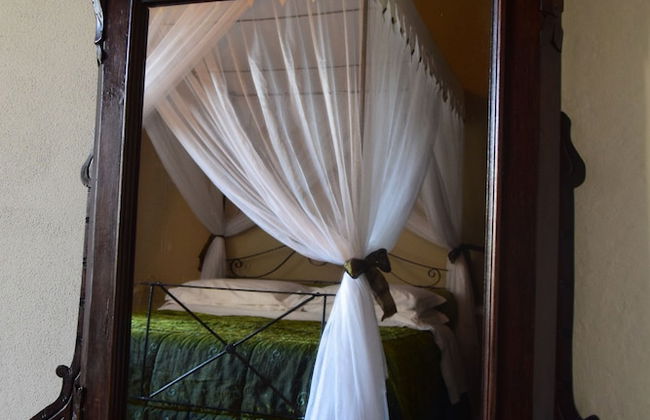 Il Vicario - Photo 6