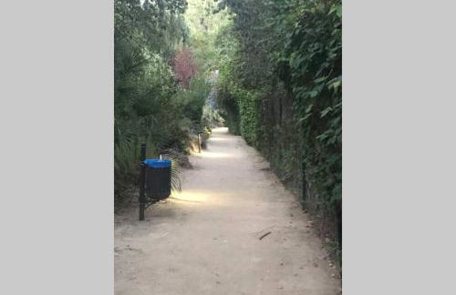 3+1 bed apartment, 100m away from the beach - Photo 22