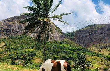 Apt Flat 225 Condomínio Pedra do Rodeadouro - Foto 17