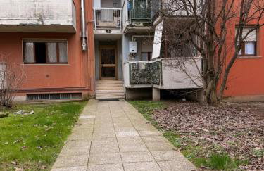 Girasoli Rho Fiera - Foto 26