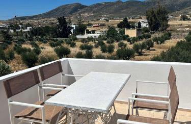 Olive House - Photo 5