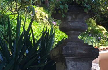 Quintinha de Palmyra - Foto 40