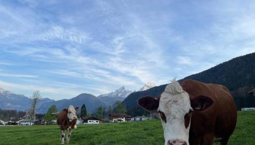 Ferienwohnung Hirnsberglehen - Foto 3