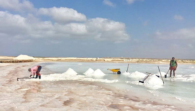 Pedra de Lume + Santa Maria Salt Mines Tour - Foto 5