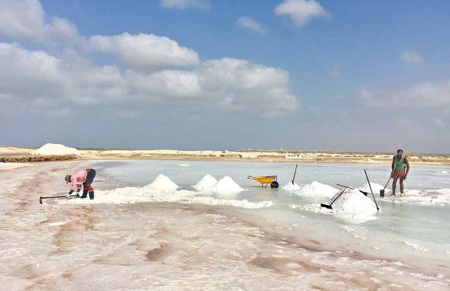 Tour por las salinas de Pedra de Lume y Santa María - Foto 5