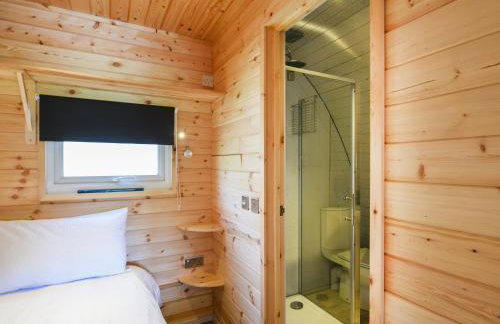 Barcud Coch - Uk44539 - Foto 8