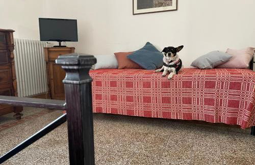 Residence Belvedere - Foto 11