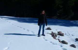 Alojamiento "Destino Cazorla" - Foto 32