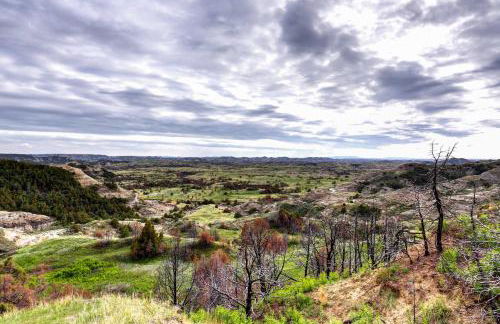 Badlands Suite Less Than 1 Mi to Teddy Roosevelt Park! - Foto 31