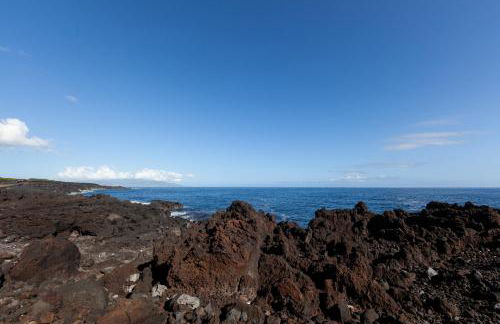 Adega Menezes - Photo 18