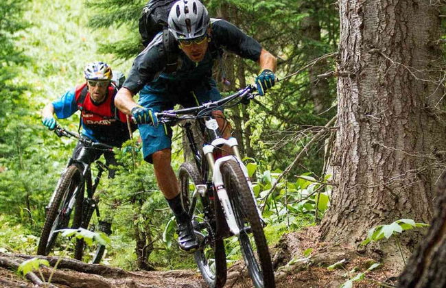 Chalet With Garden in Antwerp Kempen - Foto 25