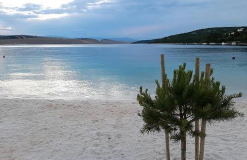 Apartment Paula - Photo 47