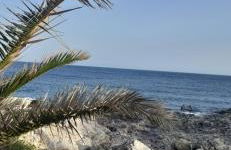 La maison du bonheur - Foto 17