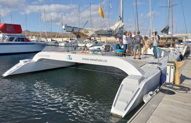 Avistamento de golfinhos ao entardecer em Puerto Calero - Foto 8