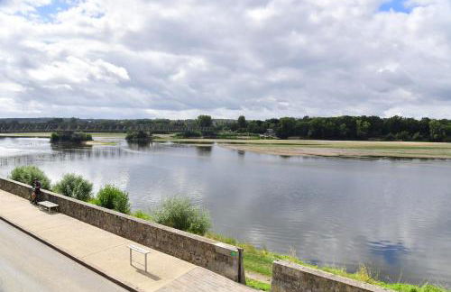 Les sternes de st Mathurin sur Loire , terrasse sur la Loire - Photo 1