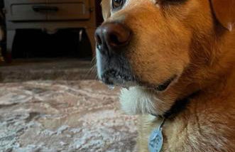 Sage Gables Mourne Mountains - Foto 23