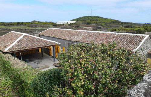 O Pomar do Gasparinho - Foto 34