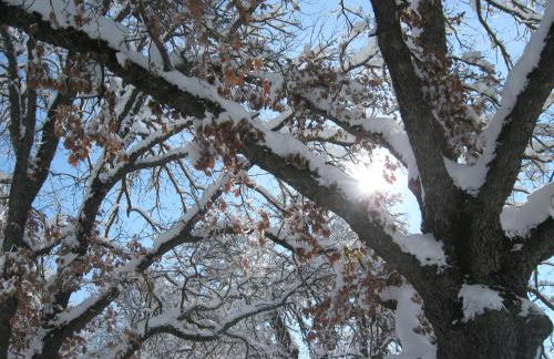 Fattoria Sos Astores - Foto 27