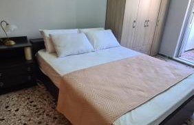 Dinospito - Photo 11