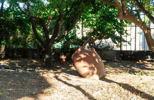 Davis Studios & Apartments - Ήλια Βόρειας Εύβοιας - 1' από τη θάλασσα - Foto 26