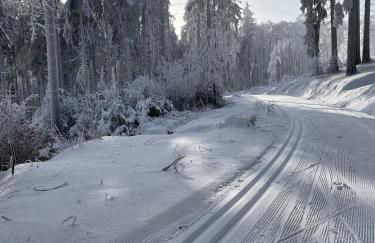 Ferienwohnung Beyer Friedrichroda - Foto 41