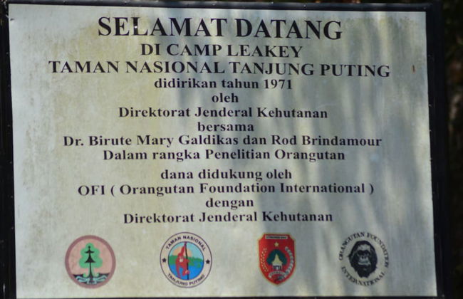 Houseboat Bee Kelotok - Foto 64