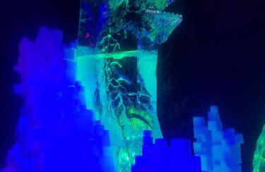 Ferienwohnung Sonnenschein - Foto 69