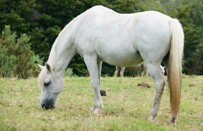 Silver Waters Lodge - Photo 48