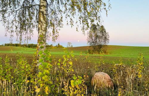 Park Wilkasy - Foto 26