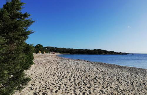 La Sima villa con piscina vista mare San Pantaleo Sardegna - Foto 41