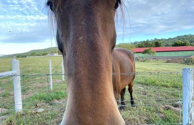 Eagles Nest - Foto 30