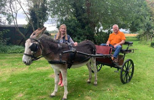 Starry Meadow & Rescued Animal Experiences - Foto 38